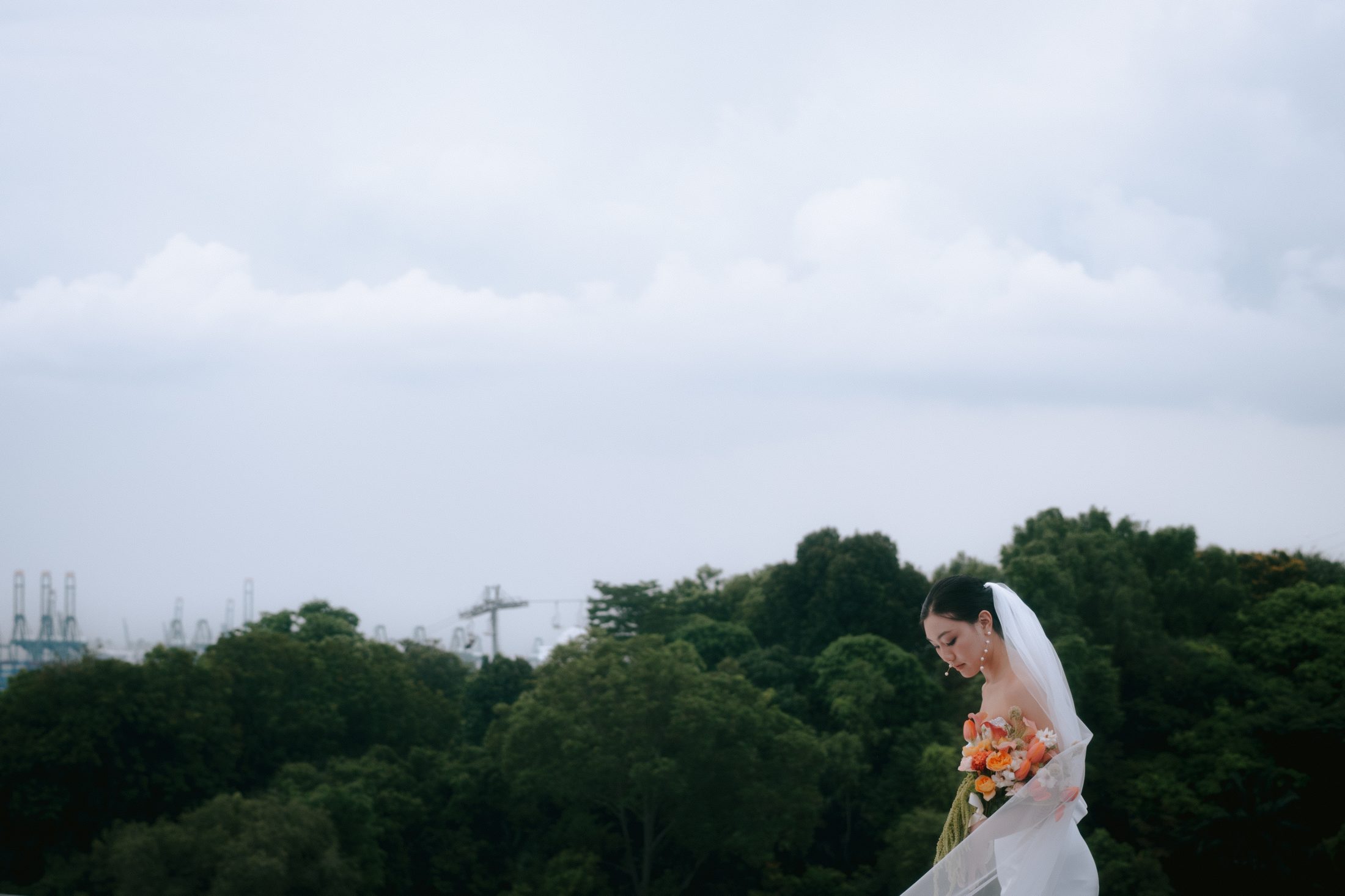 Wedding photograph
